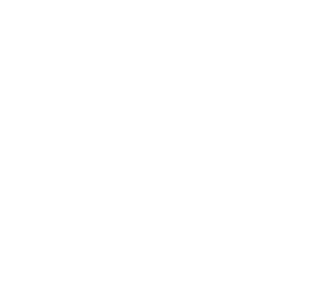 Logo Burban Palettes